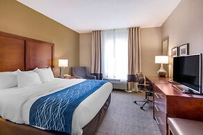 Comfort Inn & Suites Lynchburg Airport - University Area