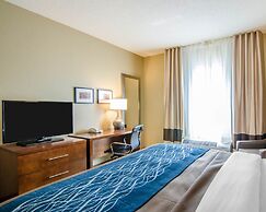 Comfort Inn & Suites Lynchburg Airport - University Area