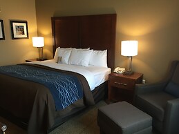Comfort Inn & Suites Lynchburg Airport - University Area