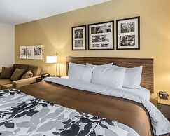 Sleep Inn & Suites Jasper I-22