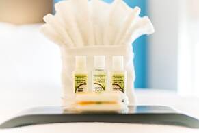 Holiday Inn Hotel & Suites Chattanooga Downtown by IHG