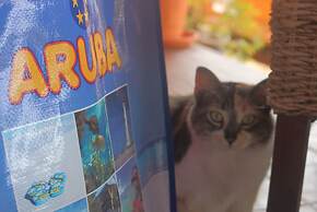 Fuego Mio Bed & Breakfast