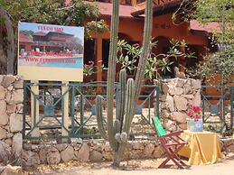 Fuego Mio Bed & Breakfast