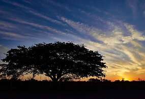 Eco Pousada Novilha de Ouro