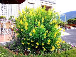 Evergreen Garden Home