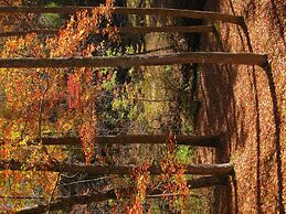 My Little Blue House