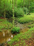 My Little Blue House