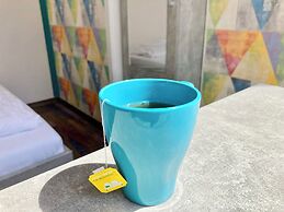 Amber Terrace Studio