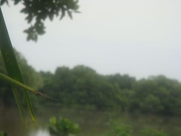 Beach Lagoon Guesthouse