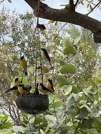 Divers Paradise Bonaire