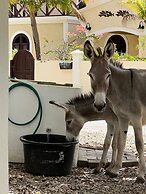 Divers Paradise Bonaire