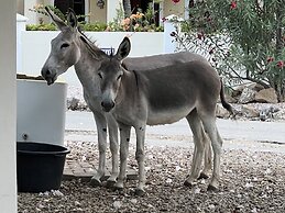 Divers Paradise Bonaire