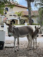 Divers Paradise Bonaire