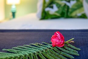 Divers Paradise Bonaire