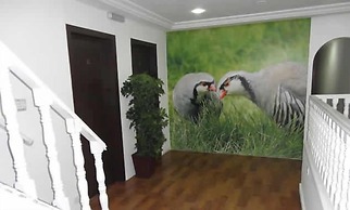 Hotel Recanto das Perdizes