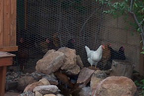 Elden Trails Bed and Breakfast