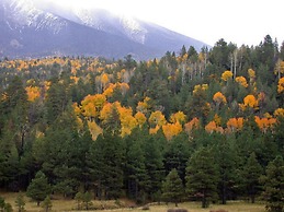 Elden Trails Bed and Breakfast