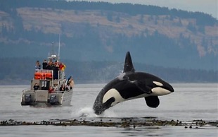 The Edenwild Boutique Inn