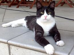 Agriturismo Ca' La Pergola