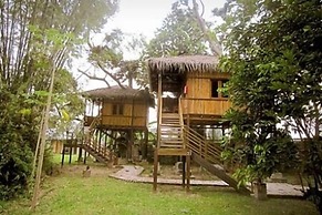 The Roots Eco Resort