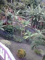 Top Ranking Guesthouse