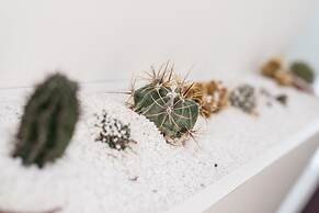 Affittacamere Myhome