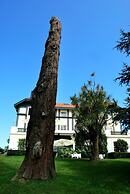 Las Carolinas Garden