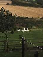 Townend Farm Bed and Breakfast