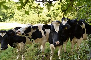 Hillcroft Accommodation