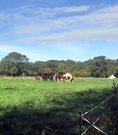 Hillcroft Accommodation