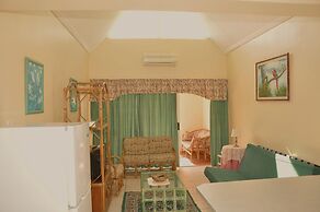 The Bridge Apartments