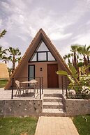 Domaine Villate Limoune