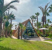 Domaine Villate Limoune