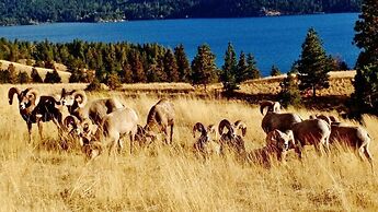 Going-To-The-Sun Inn & Suites