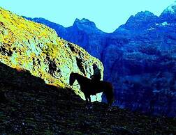 Going-To-The-Sun Inn & Suites