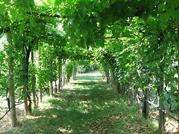 Agriturismo Podere Ficareto