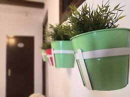 Hostal Dragonfly BCN