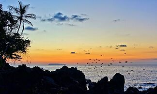 Corcovado Adventures Tent Camp