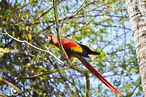 Corcovado Adventures Tent Camp