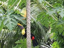 Corcovado Adventures Tent Camp