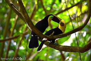 Corcovado Adventures Tent Camp