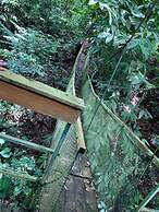 Corcovado Adventures Tent Camp