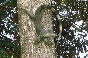 Corcovado Adventures Tent Camp