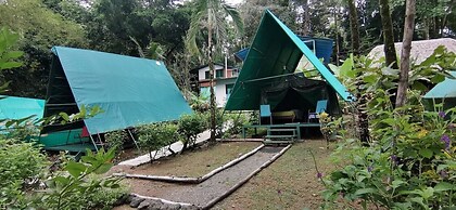 Corcovado Adventures Tent Camp