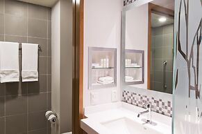 Hampton Inn & Suites by Hilton Paraiso