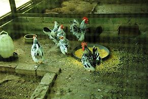 Capital O 90665 Countryview Recreation Park & Resort - Hostel