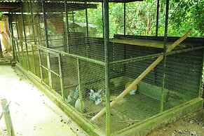 Capital O 90665 Countryview Recreation Park & Resort - Hostel