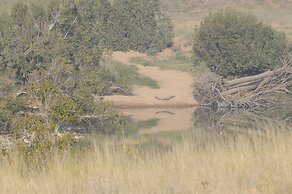 Pugdundee Safaris - Ken River Lodge