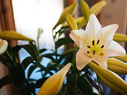 Shenavallie Bed & Breakfast and self catering