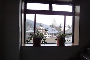 Hakuba Glad Inn Ebisuya